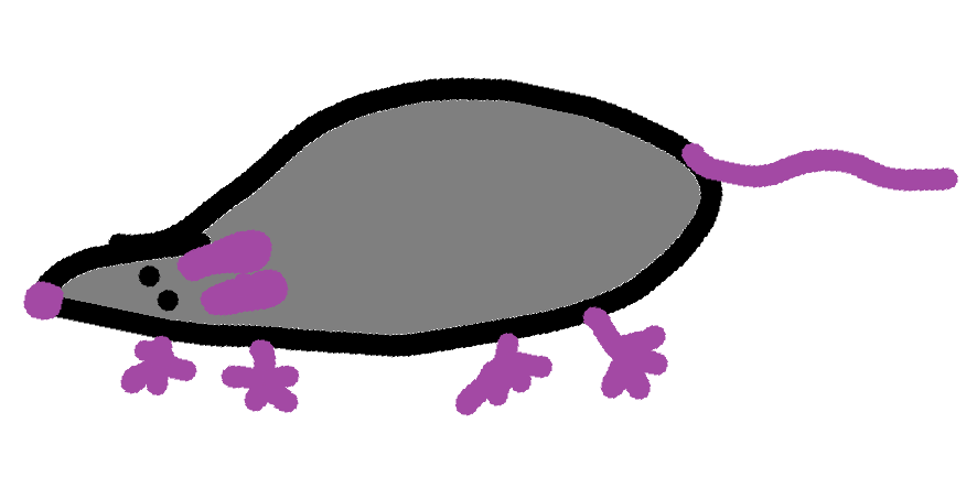 A hand-drawn grey Squeaklands rat with purple paws